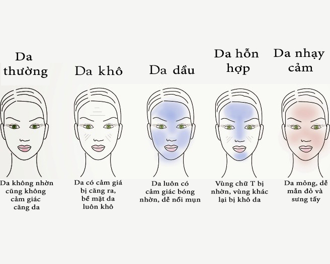 Các loại da cơ bản